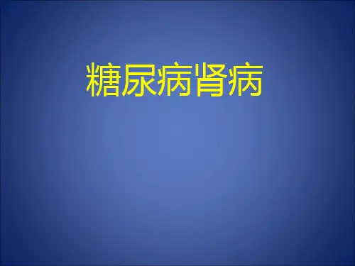 糖尿病肾病PPT模板