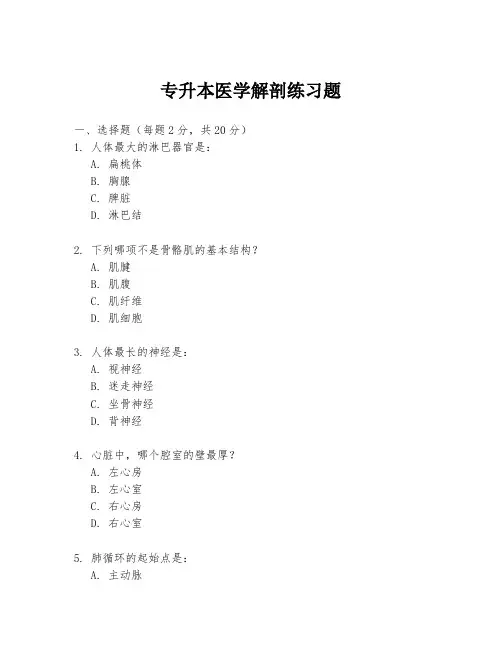 专升本医学解剖练习题