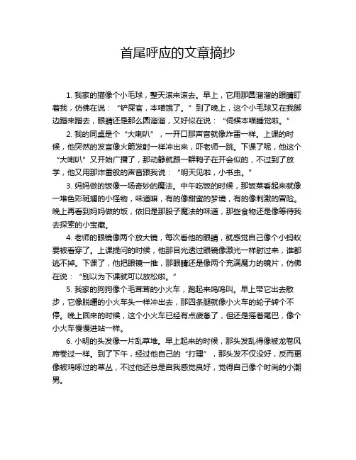 首尾呼应的文章摘抄
