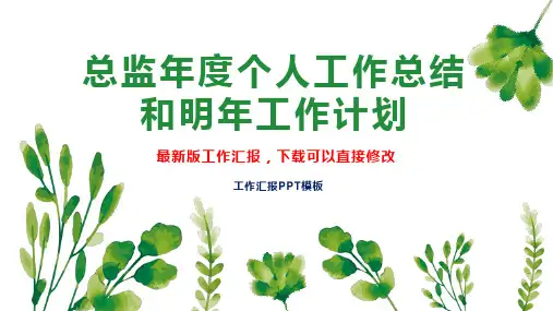 总监年度个人工作总结和明年工作计划PPT模板下载