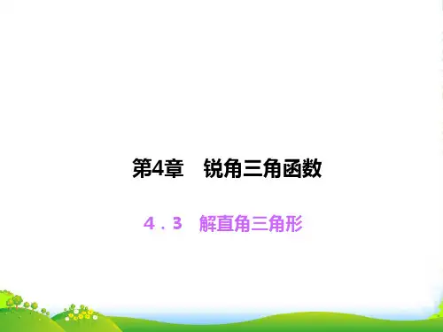 湘教版九年级数学上册《解直角三角形》优课件