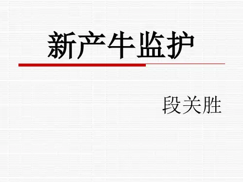 新产牛监护