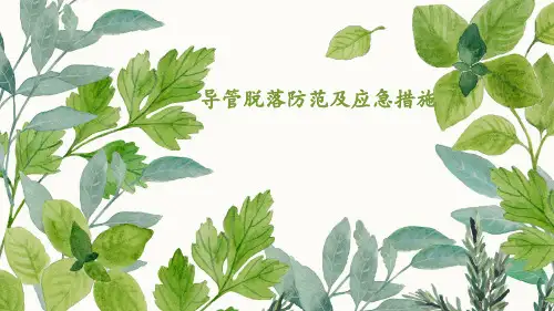 导管脱落防范及应急措施  ppt课件
