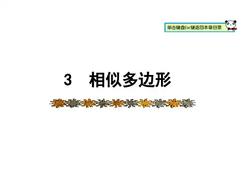 北师版数学九年级上册课件4.3相似多边形 (共20张PPT)