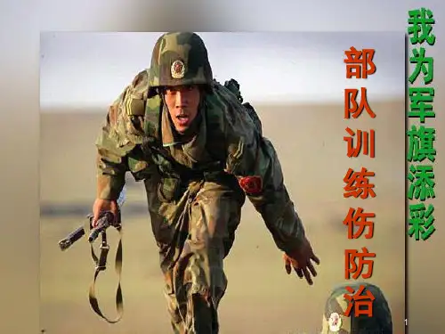 军事训练伤的防治知识ppt课件