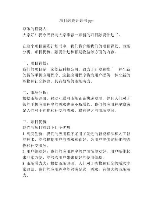 项目融资计划书ppt