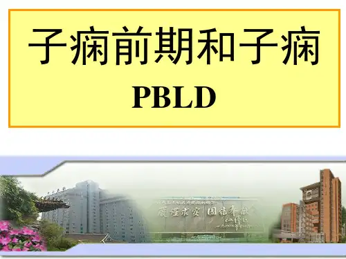 子痫前期和子痫PBLD PPT精品课件