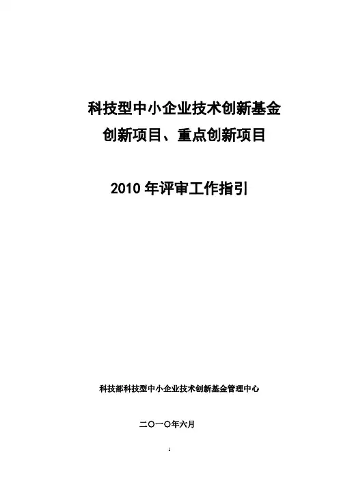 2010年评审工作指引