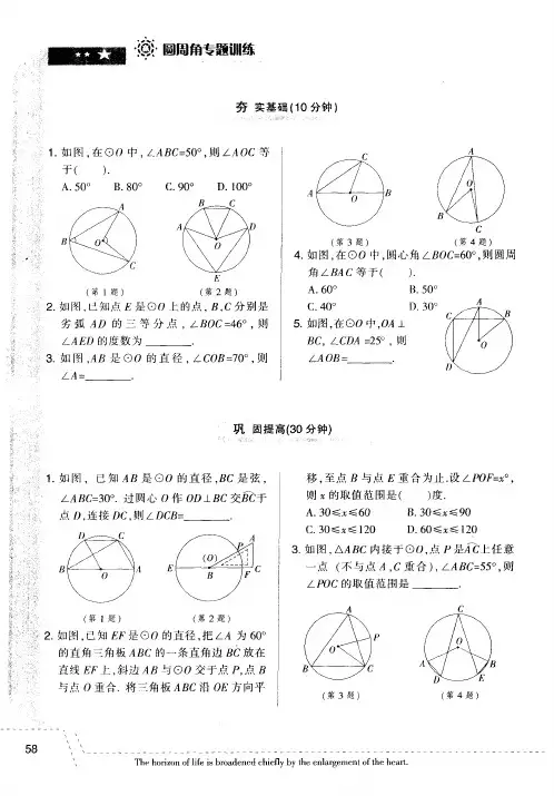 圆周角专题训练