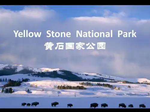 美国黄石公园