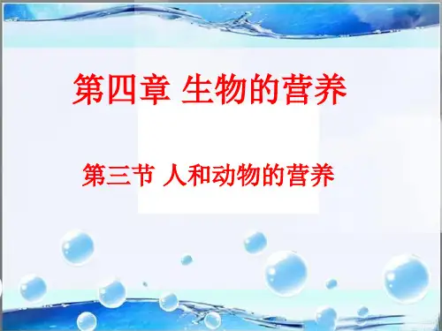 《人和动物的营养》 课件