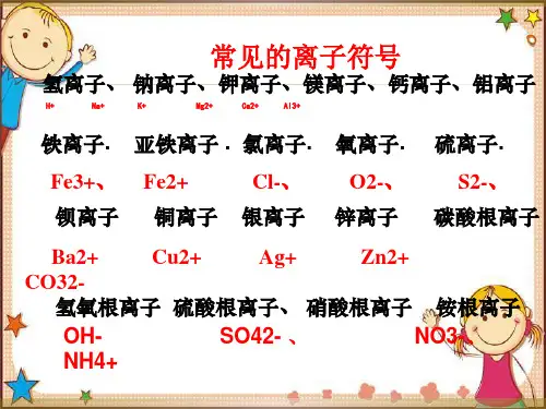 常见的离子符号,化学式