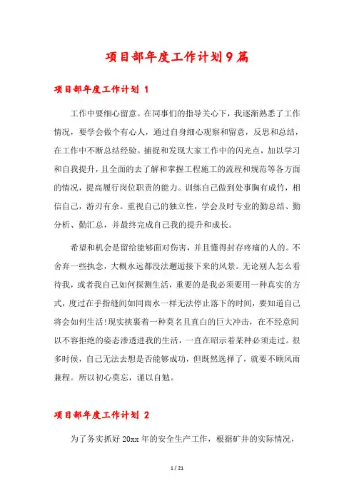 项目部年度工作计划9篇