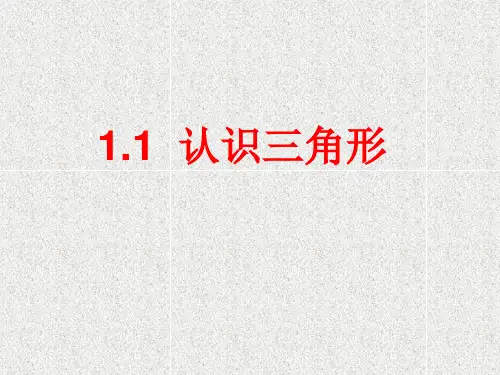 鲁教版数学七年级上册1.1《认识三角形