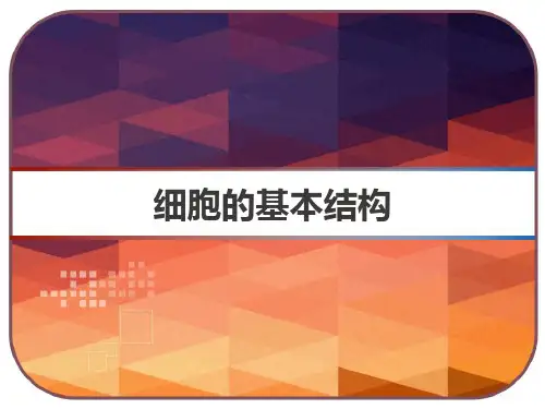 细胞的基本结构-PPT可修改全文