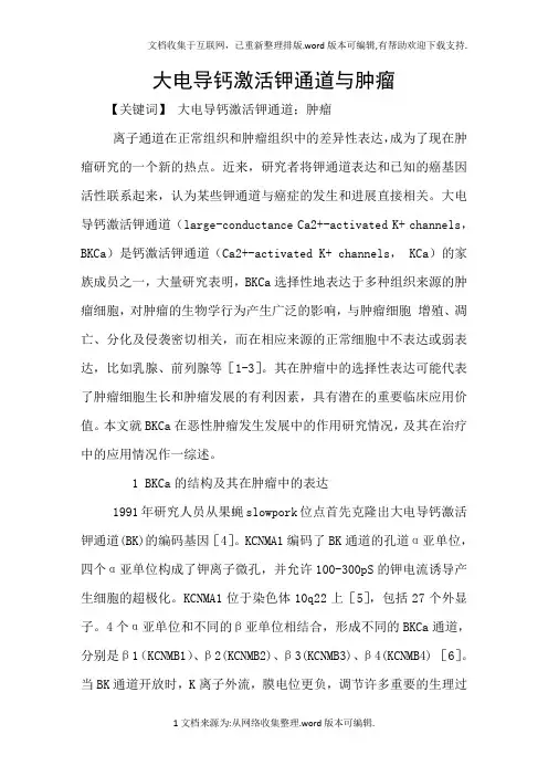大电导钙激活钾通道与肿瘤