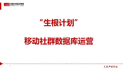 生根计划-内含微信群建立维护PPT幻灯片