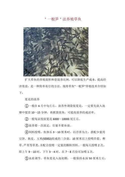 ＂一根笋＂法养殖草鱼