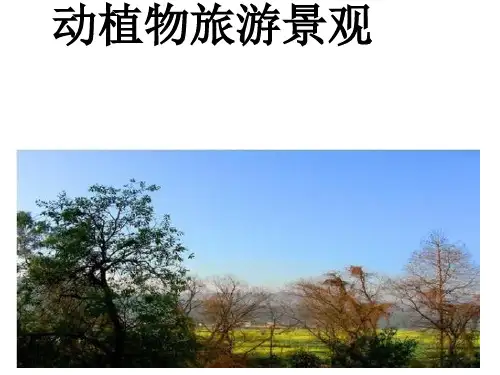 动植物旅游景观