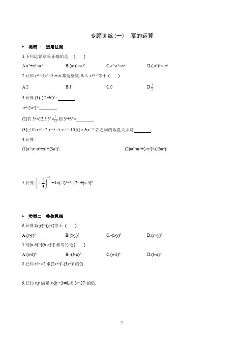 七年级数学 专题训练 幂的运算