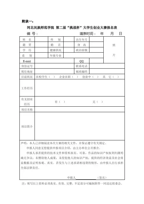13届大学生挑战杯报名表