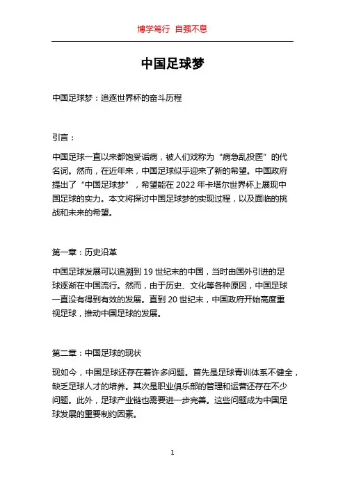 中国足球梦