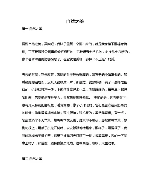 作文《自然之美》