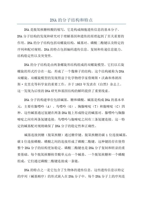 DNA的分子结构和特点