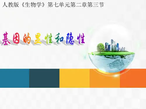 人教版八年级生物下册7.2.3基因的显性和隐性 (共22张PPT)