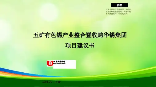 五矿有色集团项目建议方案概述(ppt 52页)