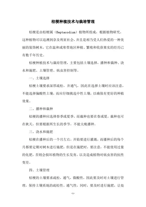 桔梗种植技术与栽培管理