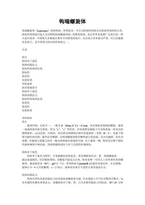 钩端螺旋体病