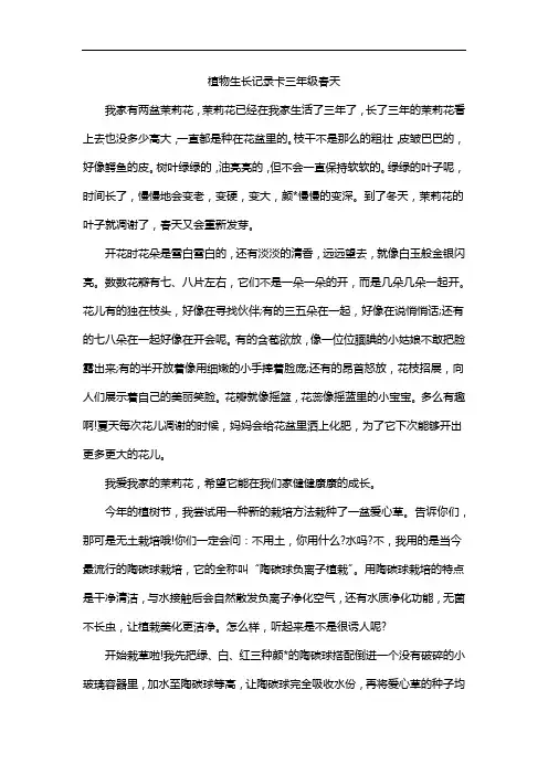 植物生长记录卡三年级春天