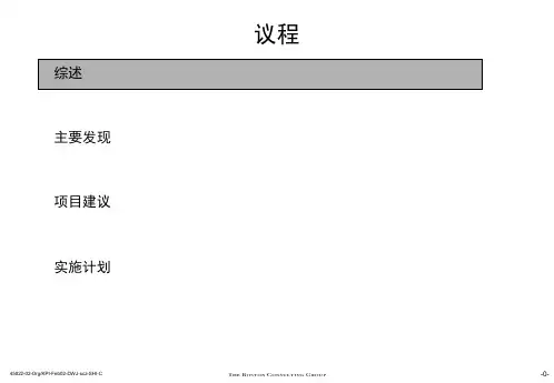 战略市场运营及组织改进计划概述
