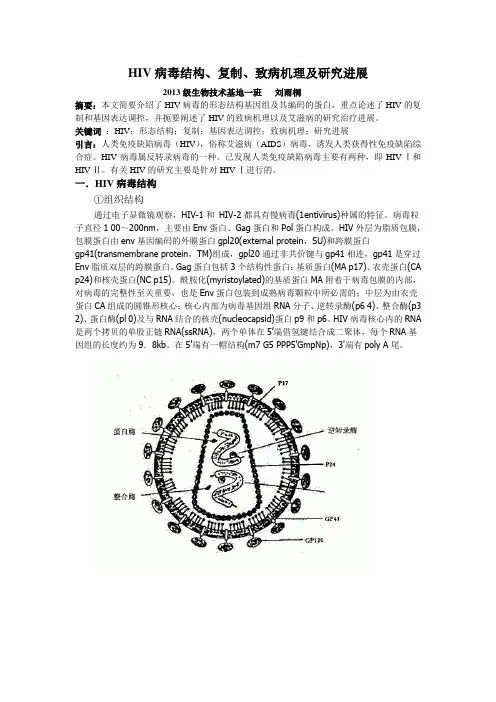 HIV病毒结构、复制、致病机理及研究进展