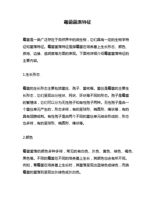 霉菌菌落特征
