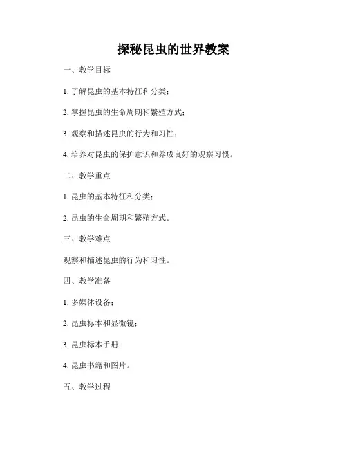 探秘昆虫的世界教案