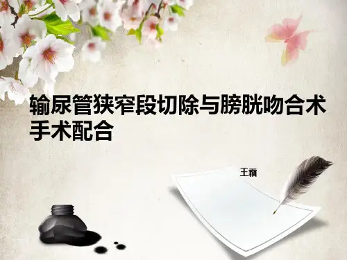 输尿管狭窄段切除与膀胱吻合术手术配合PPT课件