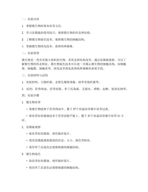 微生物学实验报告