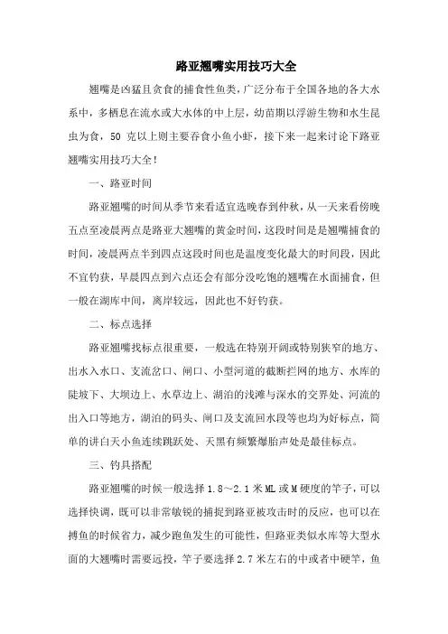 钓鱼技巧：路亚翘嘴实用技巧大全