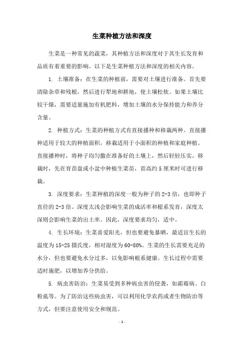 生菜种植方法和深度