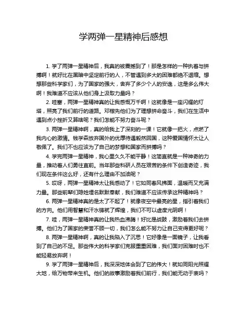 学两弹一星精神后感想