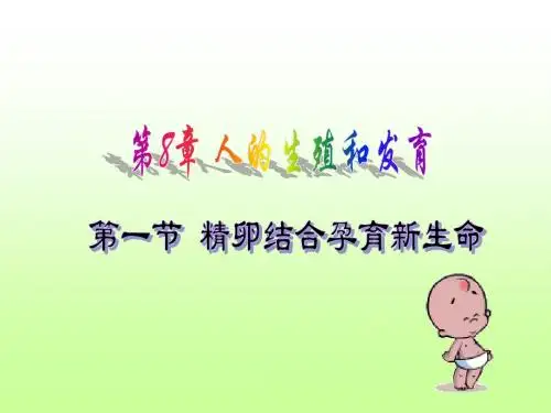 七下生物PPT