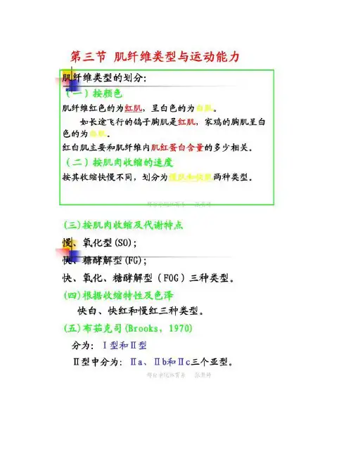 肌纤维类型与运动能力解读