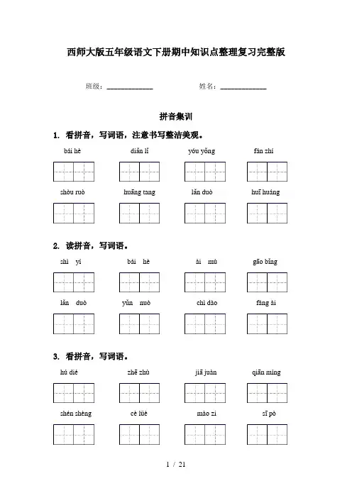西师大版五年级语文下册期中知识点整理复习完整版