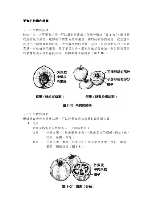 果实的结构