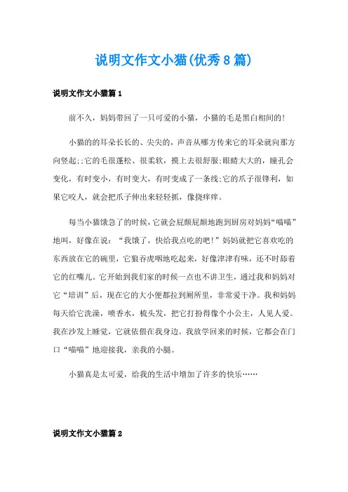 说明文作文小猫(优秀8篇)