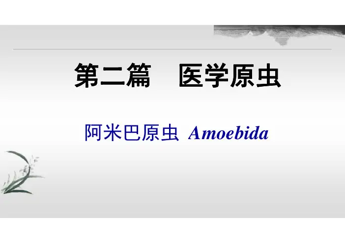 溶组织内阿米巴PPT1