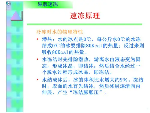 16_(果蔬加工工艺学课件)速冻果蔬