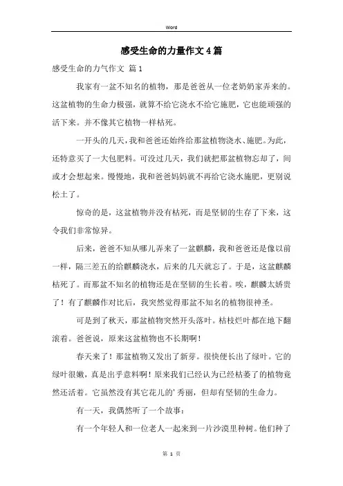感受生命的力量作文4篇